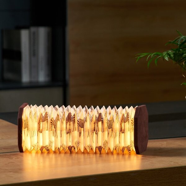 Decorazione luminosa marrone scuro con ricarica USB Velvet Accordion – Gingko