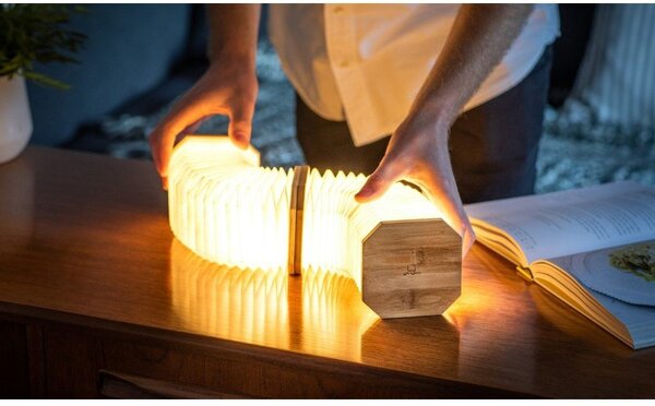 Decorazione luminosa di colore naturale con ricarica USB Accordion – Gingko