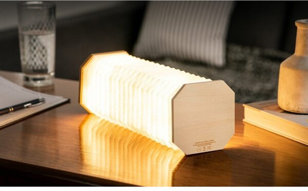 Decorazione luminosa di colore naturale con ricarica USB Accordion – Gingko