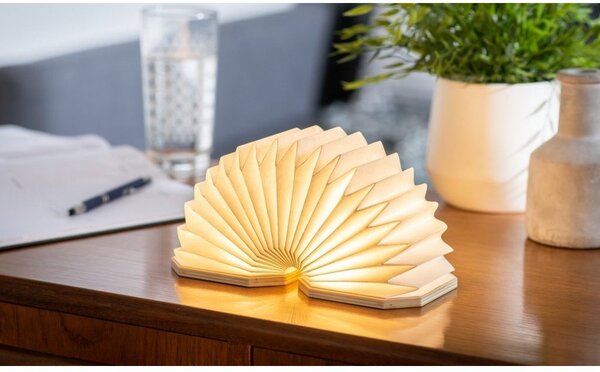 Decorazione luminosa di colore naturale con ricarica USB Accordion – Gingko
