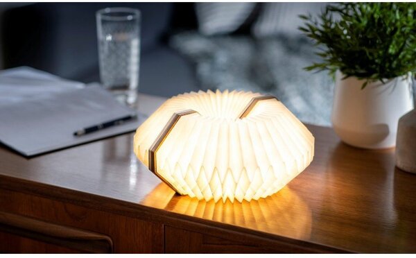 Decorazione luminosa di colore naturale con ricarica USB Accordion – Gingko
