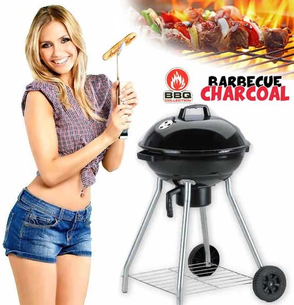 Barbecue Griglia Bbq Carbone Coperchio 2 Ruote Carbonella Giardino Acciaio Inox