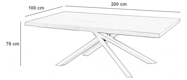 Tavolo Fisso 200x100x76 cm in Rovere Impiallacciato Spike Naturale