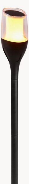 Set di 4 faretti solari a LED Farely