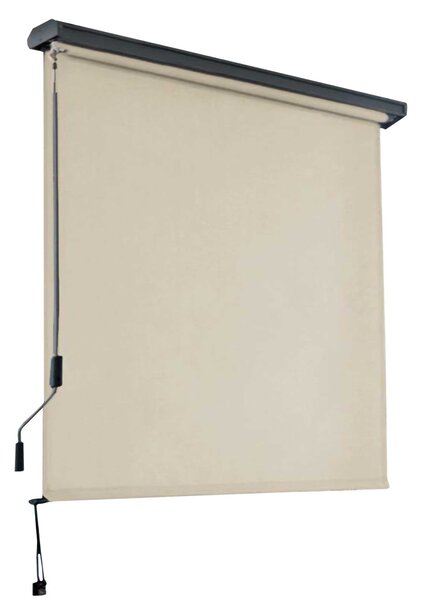 Tenda da Sole Avvolgibile Manuale 120x250 cm in Alluminio e Poliestere Charleston Beige