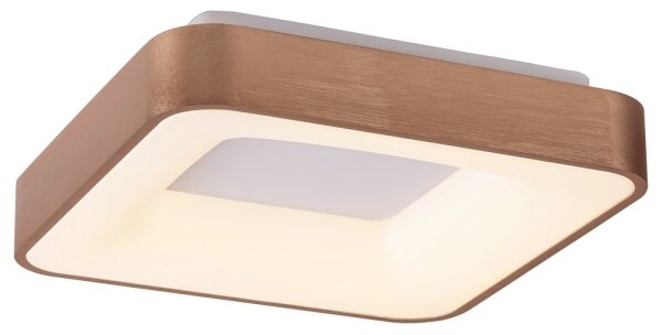 Rabalux 5056 - Plafoniera LED CARMELA LED/30W/230V