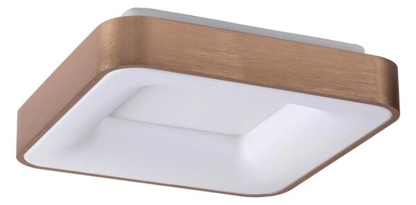Rabalux 5056 - Plafoniera LED CARMELA LED/30W/230V