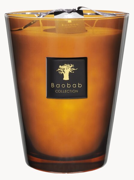 Candela profumata Prestigieuses (cuoio, vetiver, muschio)