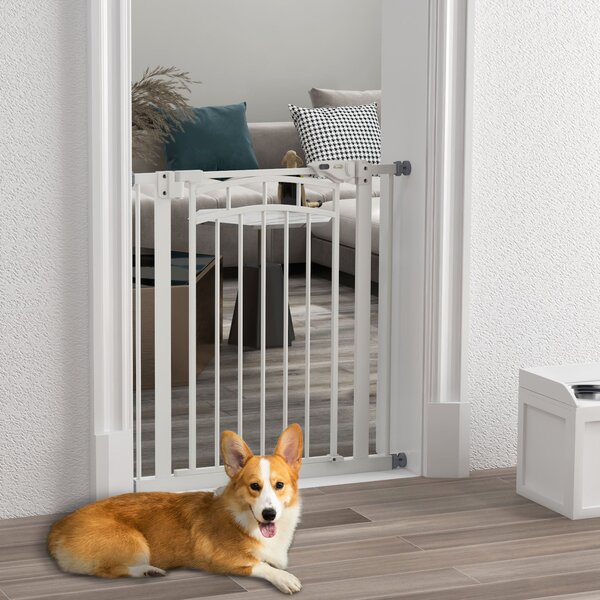 Cancelletto per Cani taglia Piccola e Media 74-80x76 cm in Acciaio e PA Bianco