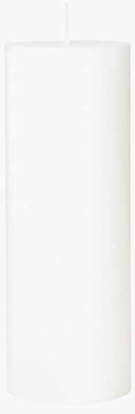 Candela Eco