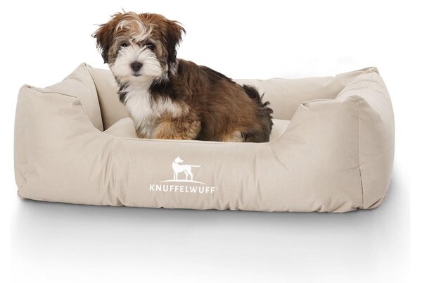 Knuffelwuff letto per cani idrorepellente Finlay M-L 85 x 63 cm beige