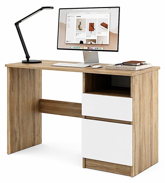 Scrivania compatta 100x50 cm | Scrivania moderna per computer e ufficio | Scrivania per PC per l'home office e la camera dei ragazzi | Ampia scelta di colori, rovere Wotan/bianco