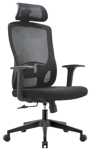 Sedia Direzionale da Ufficio 62x64x119/139 cm Ergonomica con Poggiabraccia Regolabili Nera