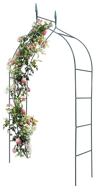 Arco da Giardino Supporto per Rose e Piante Rampicanti in Metallo Altezza 240 cm