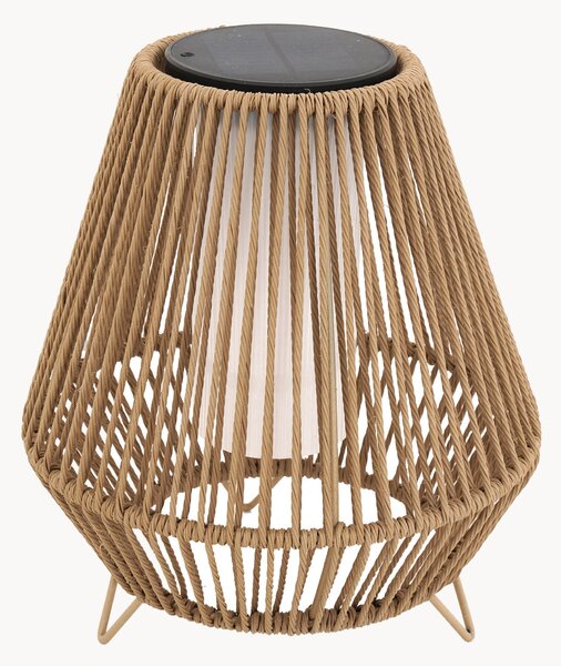 Lampada da terra solare a LED con luce regolabile Salomea