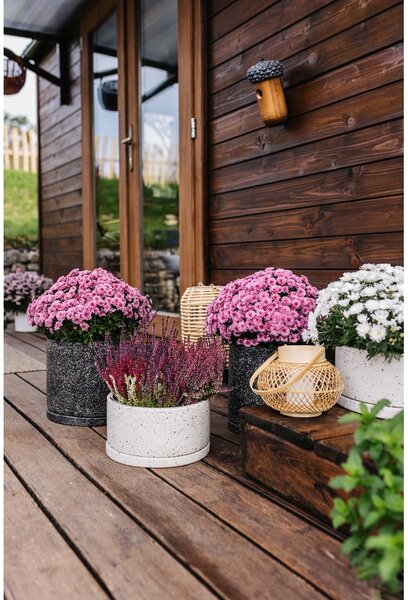 Vaso in cemento ø 34 cm Terrazzo - Bonami Selection