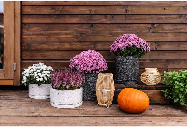 Vaso in cemento ø 34 cm Terrazzo - Bonami Selection