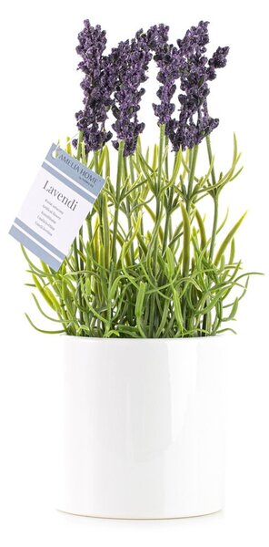 Lavanda artificiale (altezza 27 cm) Lavendi - AmeliaHome