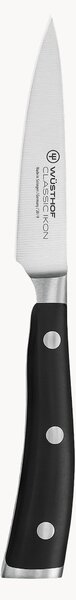 Coltello spelucchino in acciaio inossidabile Classic Icon