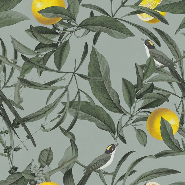 Lemon elegante collezione di cuscini a fantasia in velluto impermeabil
