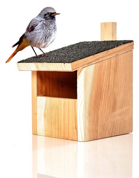 Blumfeldt Casetta per uccelli che nidificano in semicavita, sistema per appenderla, tetto catramato, cedro rosso