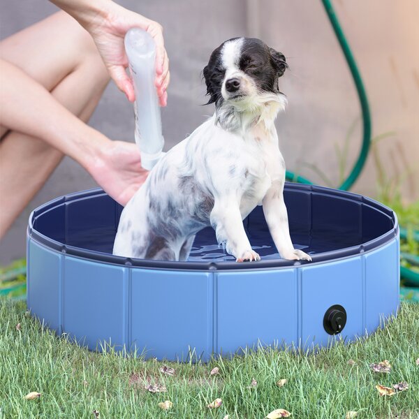 PawHut Piscina Pieghevole per Cani in Plastica con Bordo Stabile per Animali Domestici, Ø80 x 20 cm, Blu|Aosom