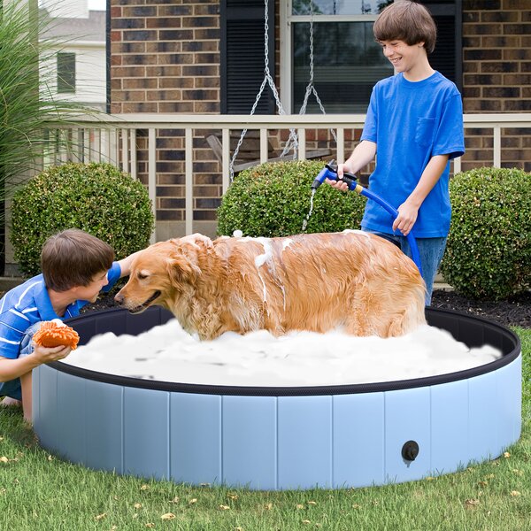 PawHut Piscina Vasca da Bagno Portatile Pieghevole per Cani Animali Domestici in PVC Azzurro Φ160 x 30cm|Aosom