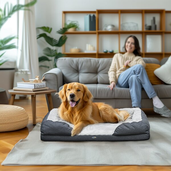 Cuccia per Cani Taglia Grande Imbottita con Cuscino Rimovibile Lavabile 120x80x22 cm Grigio Carbone