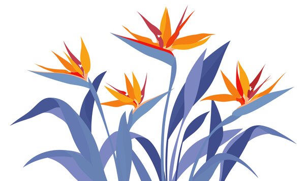 Carta da parati Fiori colorati con foglie, Carta da parati Natura, Carta da parati popolare - Tapeko.it