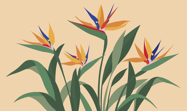 Carta da parati Fiori colorati con foglie verdi, Carta da parati Natura, Carta da parati popolare - Tapeko.it