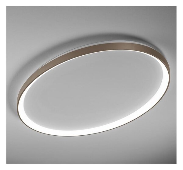 LIFERING PLAFONIERA OVALE LED 50W LUCE CCT 3000K-4000K ALLUMINIO 5 COLORI L80 CM DESIGN MODERNO