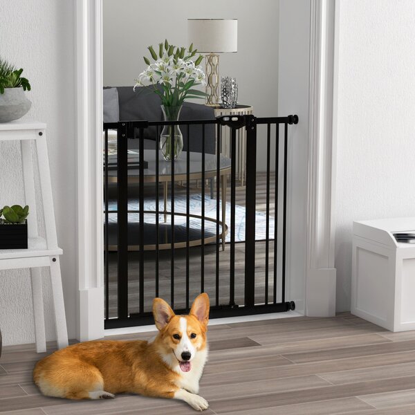 Cancelletto per Cani a 2 Estensioni con Larghezza Regolabile fino 100 cm e Chiusura Automatica Nero