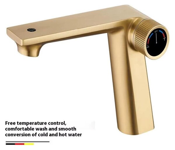 Miscelatore monocomando per lavabo – Miscelatore con due bocchette – Adatto per acqua calda e fredda – Da montare sul lavabo – Acciaio inossidabile, valvola in ottone – Finitura dorata