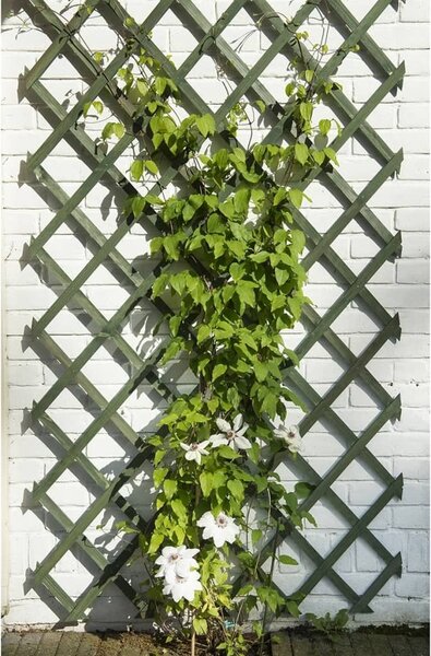 Traliccio da giardino naturale 50x150 cm in legno verde