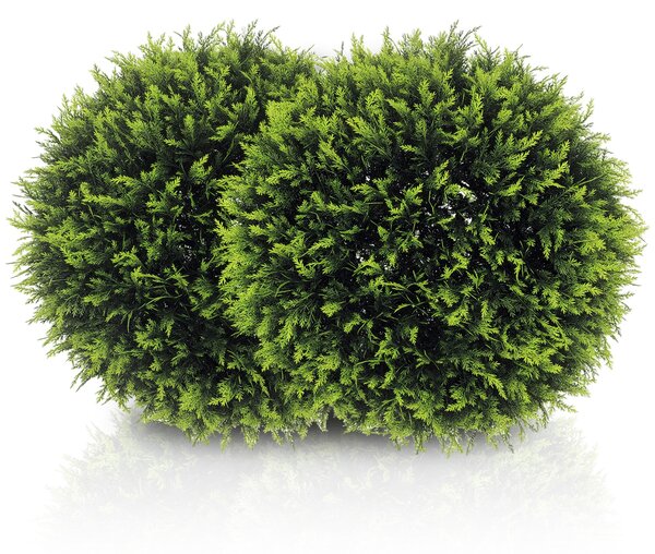 HOMCOM Set di 2 Piante Artificiali a Sfera con Foglie di Cedro per Casa e Giardino Ø45 cm, Verde