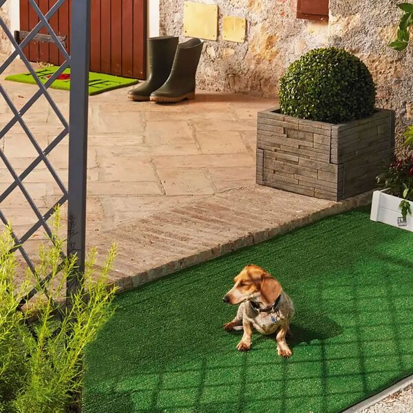 Prato Sintetico Verdemax Gold Light Altezza 8 mm 1x5 m Resistente UV Lavabile in Filo PP Verde