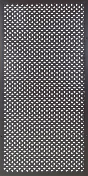 Set 2 Pezzi Traliccio Fisso Privacy con Cornice Verdemax 180x90 cm in Metallo Antracite