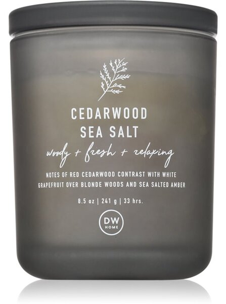 DW Home Prime Cedarwood Sea Salt candela profumata 241 g