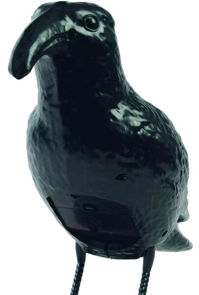 Corvo Dissuasore Statua Spauracchio Spaventa Passeri Piccioni 24,5 cm in Plastica Nero