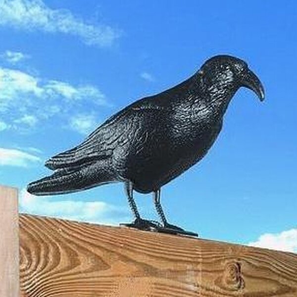 Corvo Dissuasore Statua Spauracchio Spaventa Passeri Piccioni 24,5 cm in Plastica Nero
