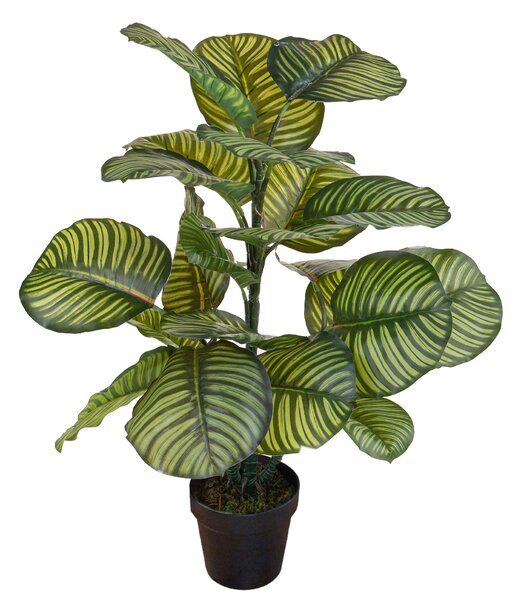 Pianta Artificiale Calathea in Vaso con 22 Foglie H 85 cm