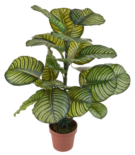 Pianta Artificiale Calathea in Vaso con 22 Foglie H 85 cm