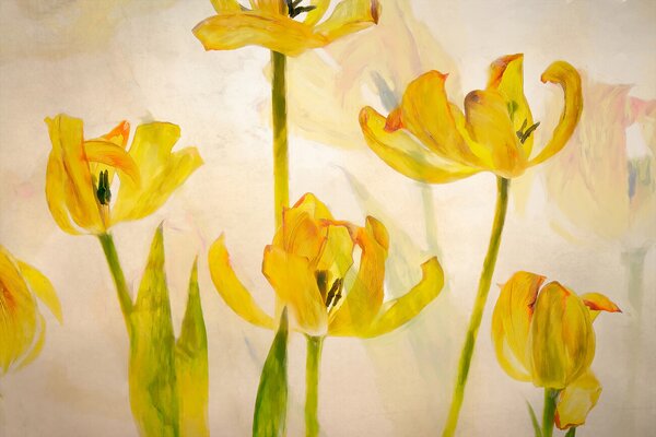 Illustrazione Flowering tulips, Nel Talen, (40 x 26.7 cm)