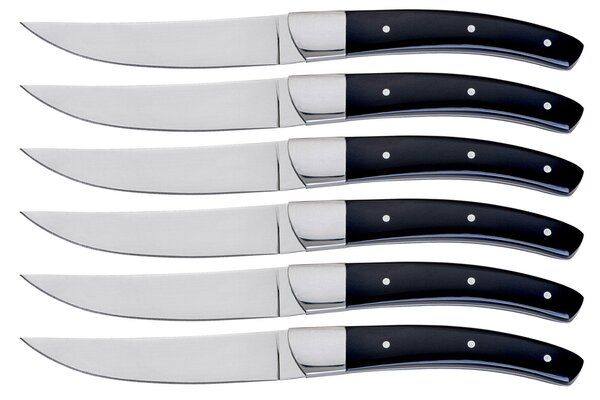 Set 6 Coltelli da Bistecca Lama Liscia Manico in Plastica Tyson Nero