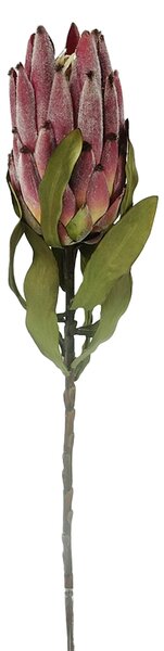 Set 4 Rami Artificiali Protea per 11 H 62 cm
