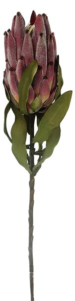 Set 4 Rami Artificiali Protea per 11 H 62 cm