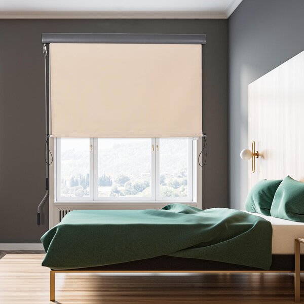 Tenda da Sole Avvolgibile da Soffitto 120x200 cm con Manovella Beige