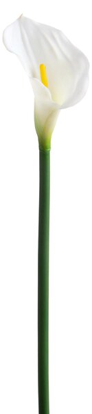 Set 4 Fiori Artificiali di Calla Singola Altezza 74 cm Bianco
