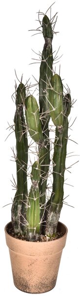 Pianta di Cactus Artificiale con Vaso Altezza 61 cm Verde