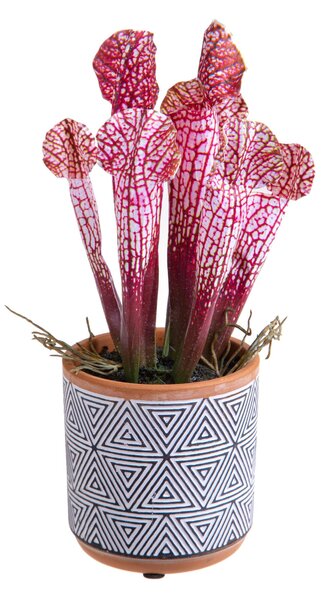 Set 3 Pianta Artificiale di Sarracenia in Vaso Altezza 26 cm Grigio